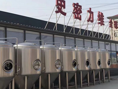 莎车精酿啤酒设备厂—如何判断精酿啤酒设备的密封件需要更换？